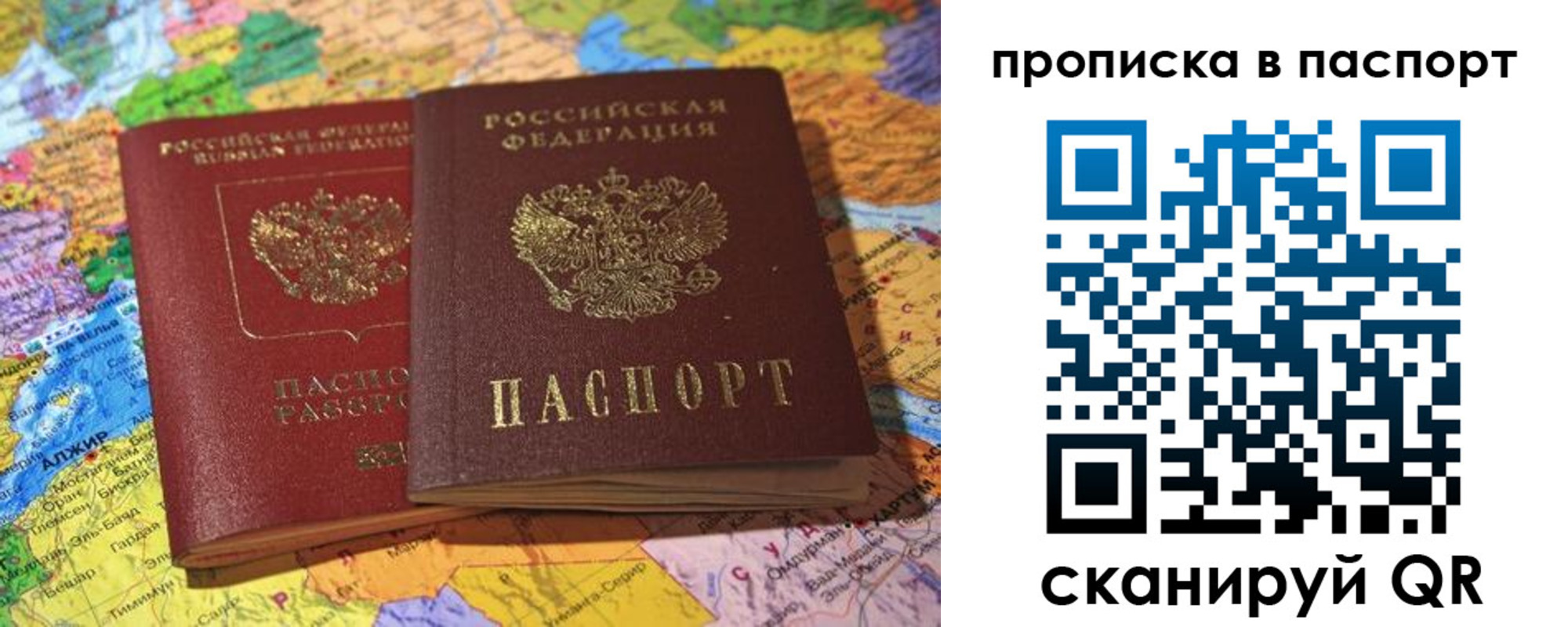 прописка гарантия в Тынде